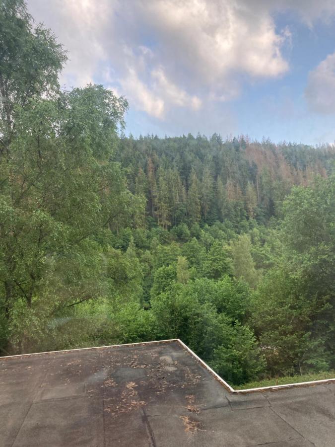 Waldblick Simmerath Exterior foto